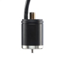 P100 Motor