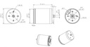 P100 Motor
