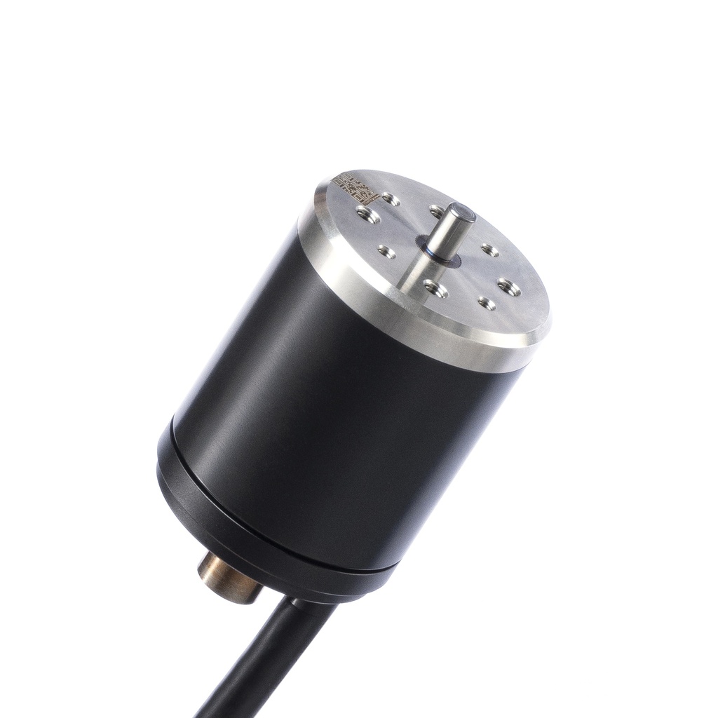 P100 Motor
